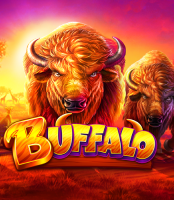 Buffalo