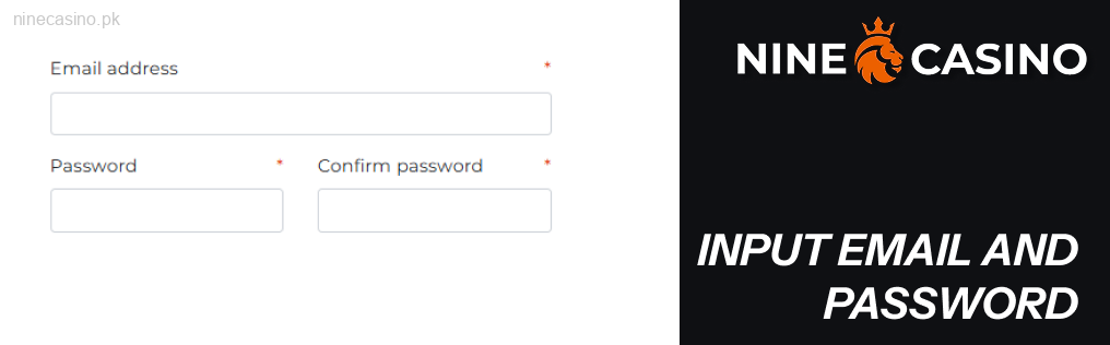 Input email and password Ninecasino