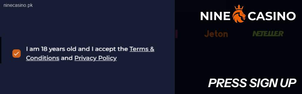 Accept the Ninecasino rules set by the casino by ticking the box