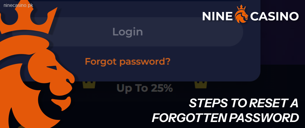 Steps to Reset a Forgotten Ninecasino Password